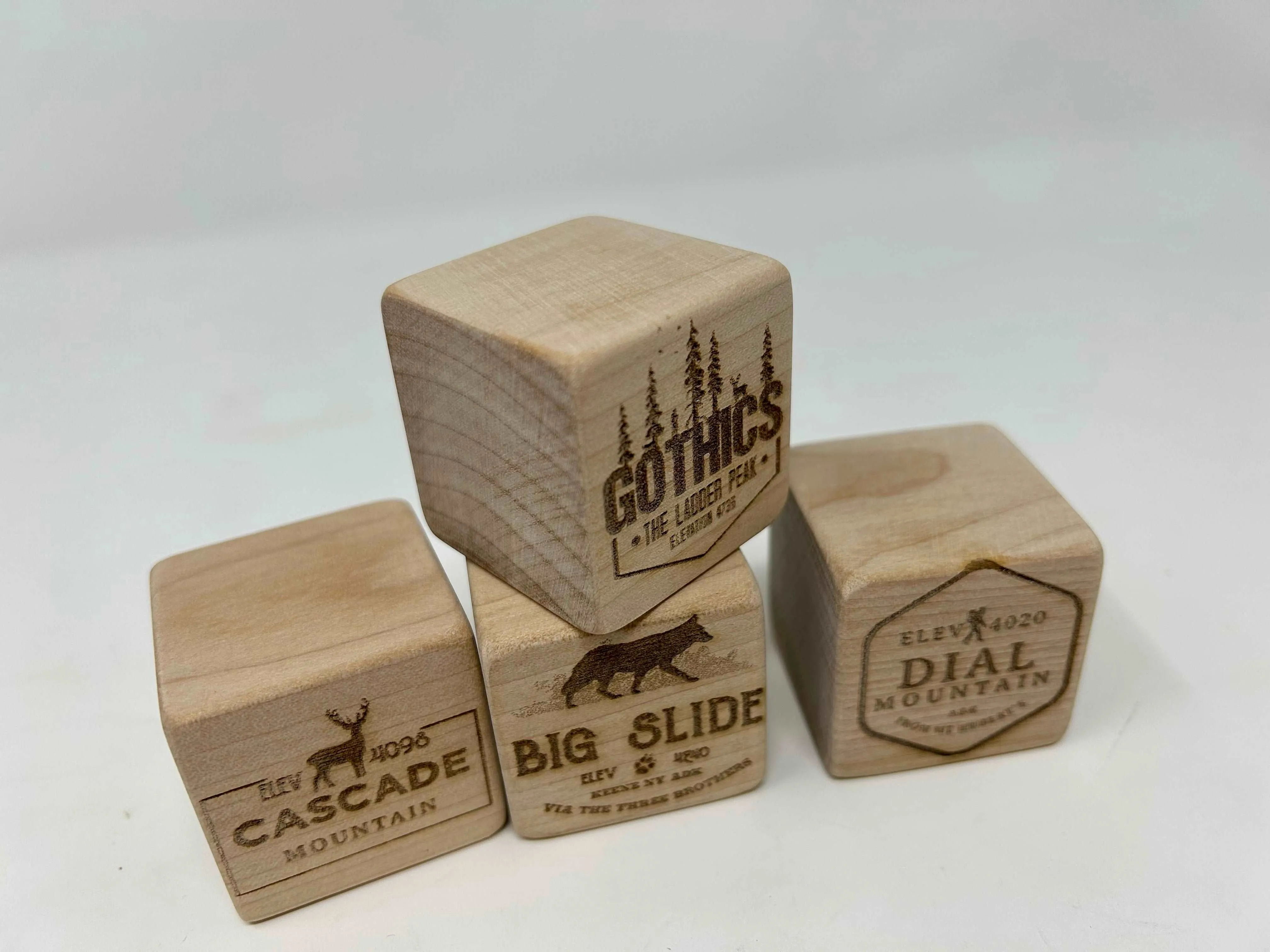 Adirondack 46 Peaks Building Blocks Trackers