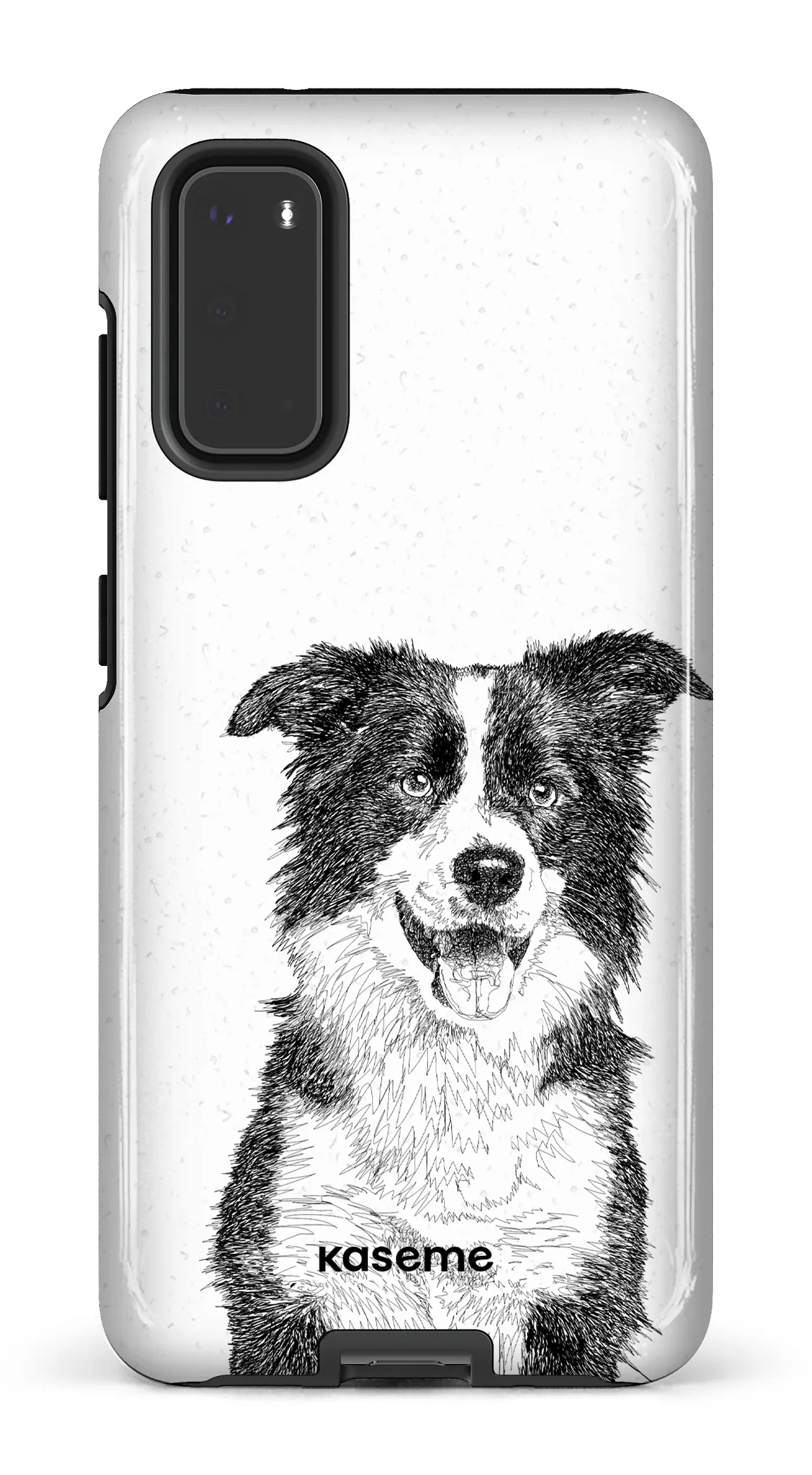 Border Collie