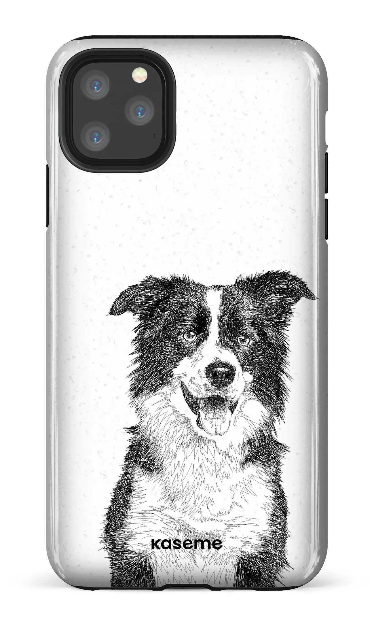 Border Collie