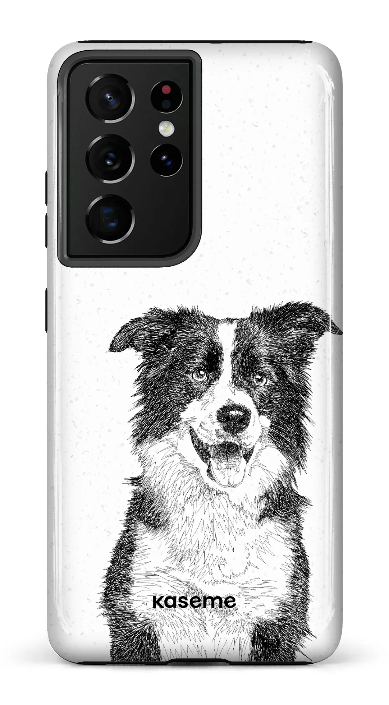 Border Collie