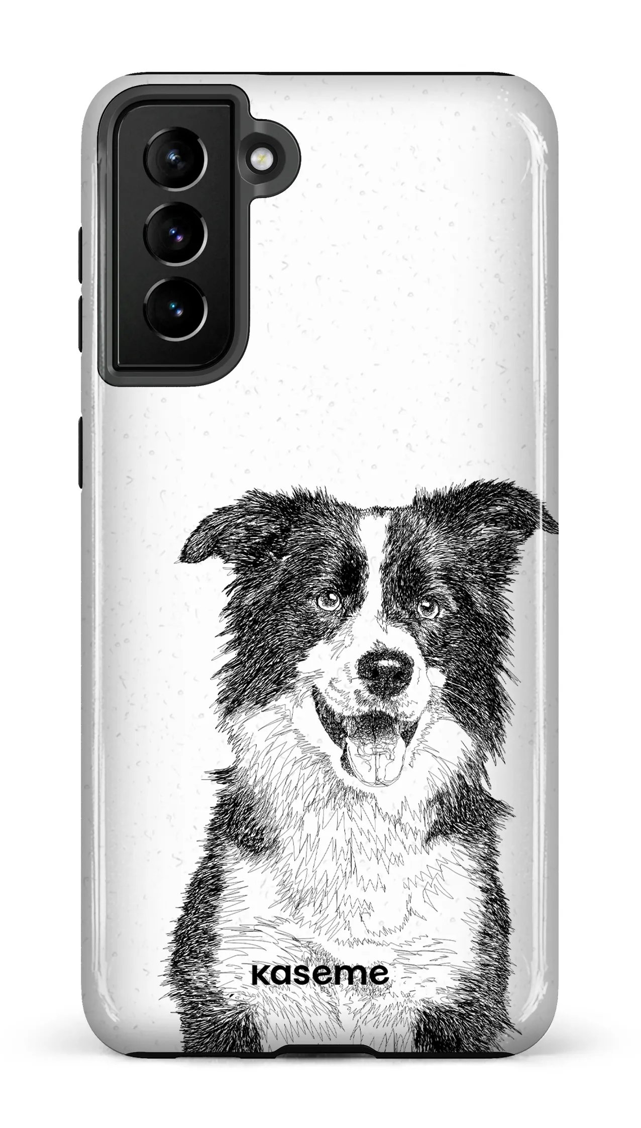 Border Collie