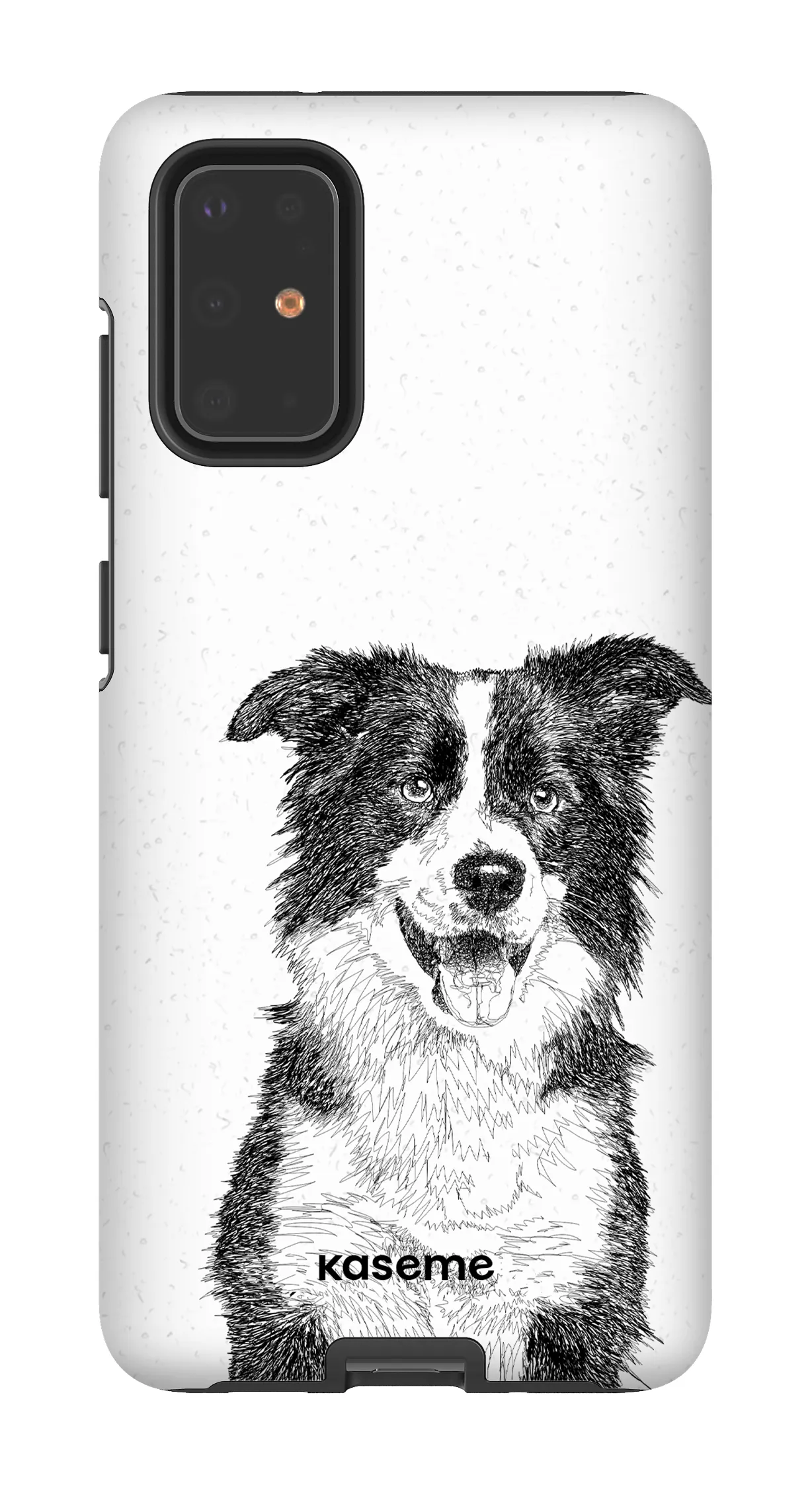 Border Collie