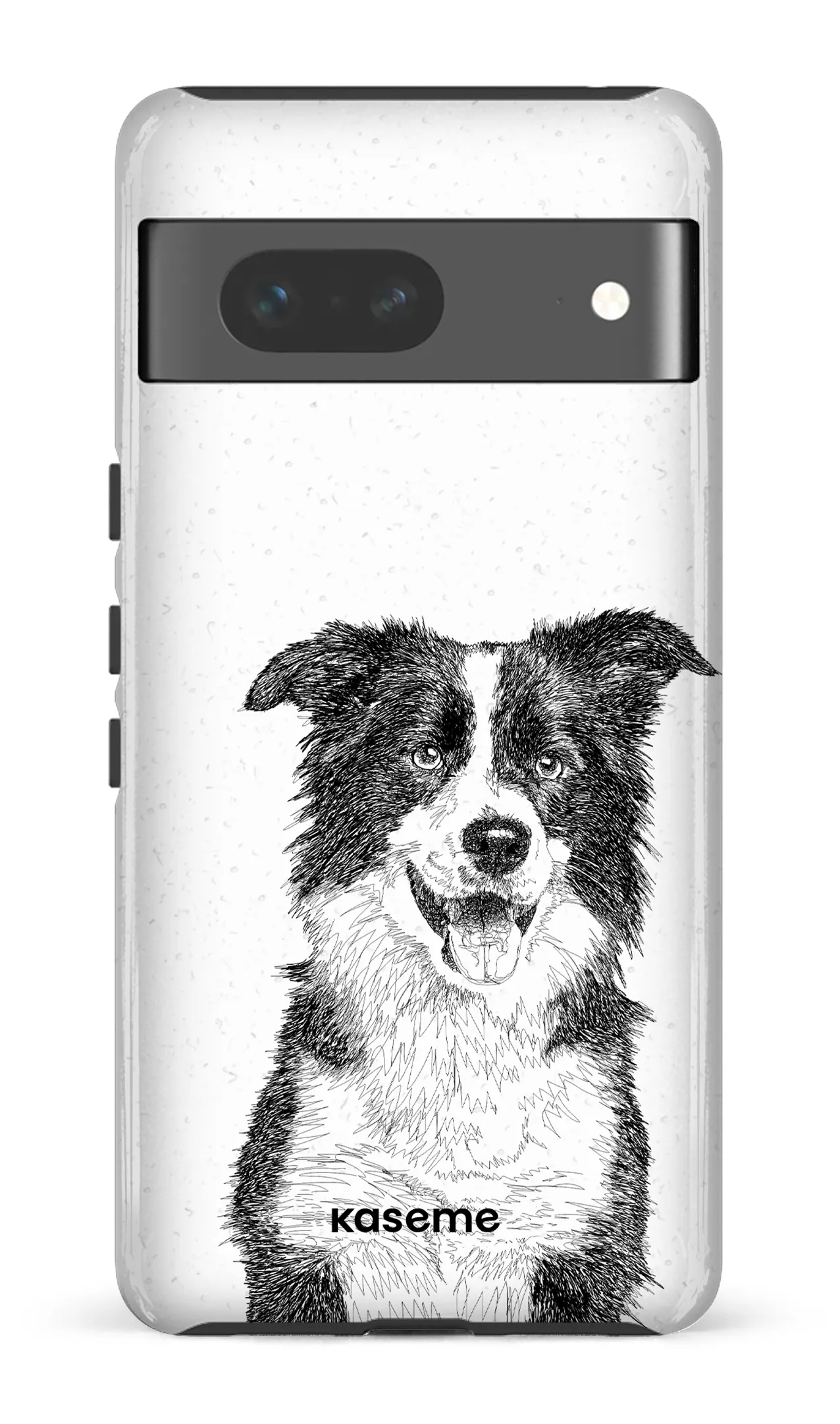 Border Collie