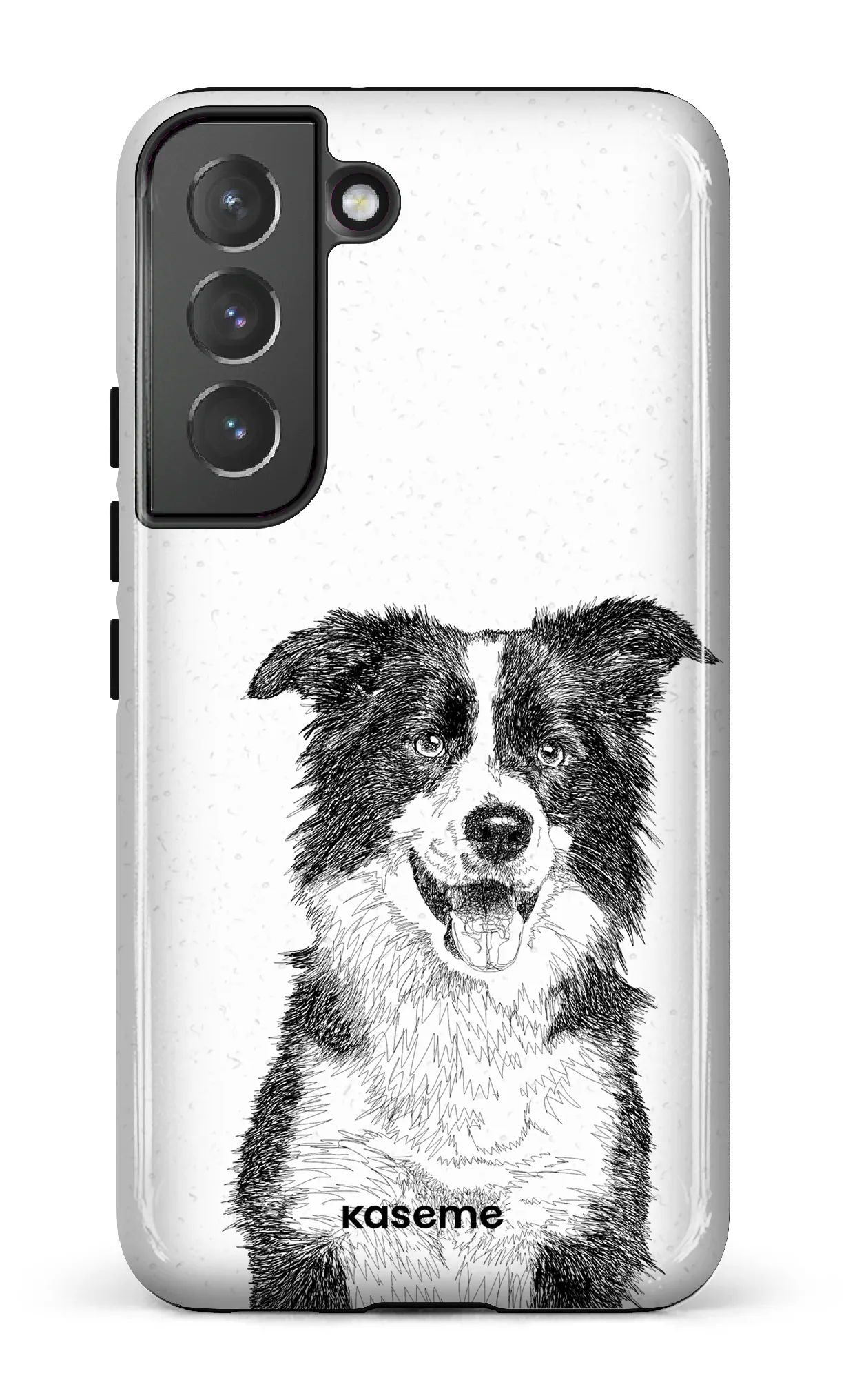 Border Collie