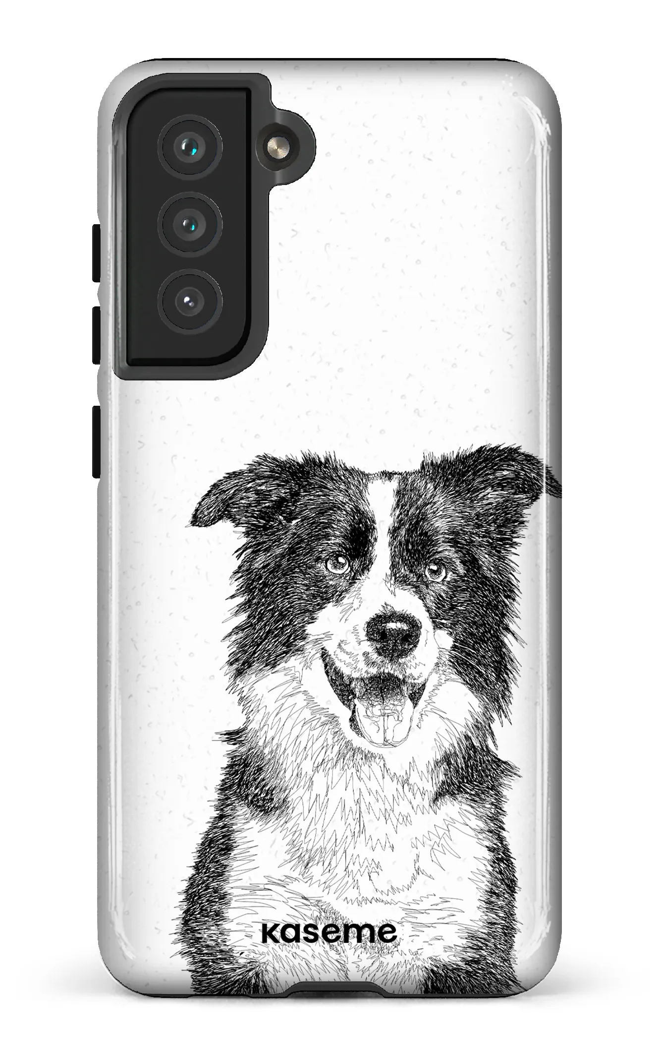 Border Collie