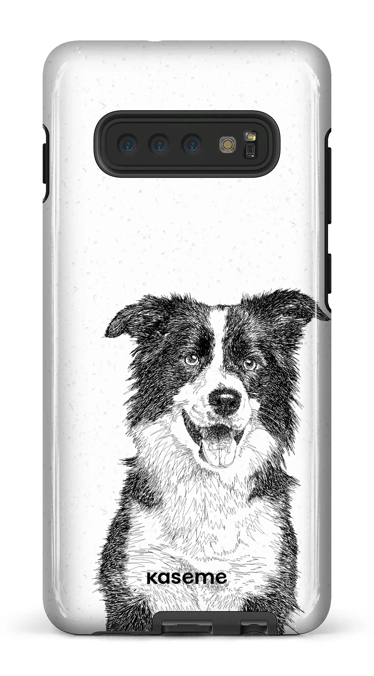 Border Collie