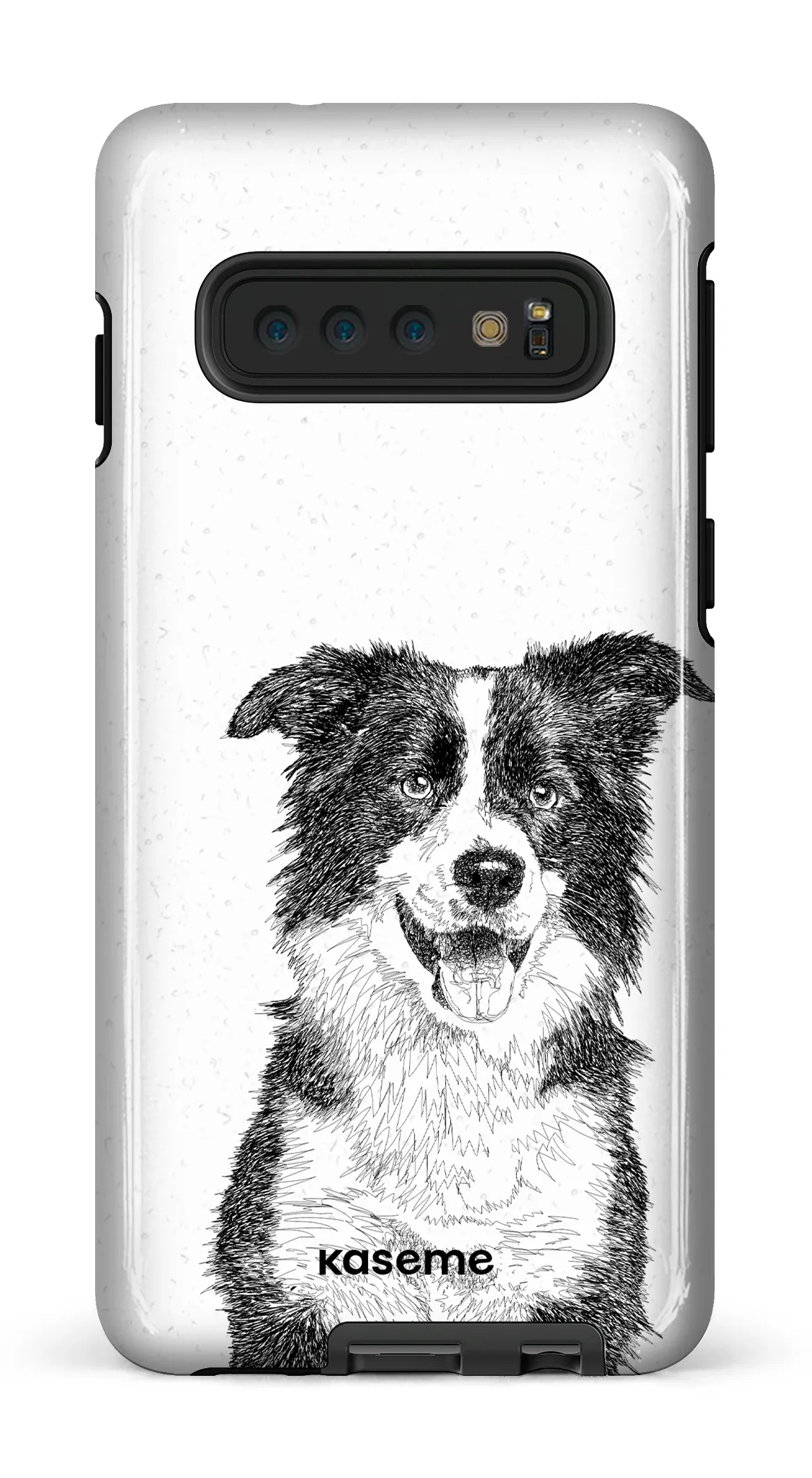 Border Collie