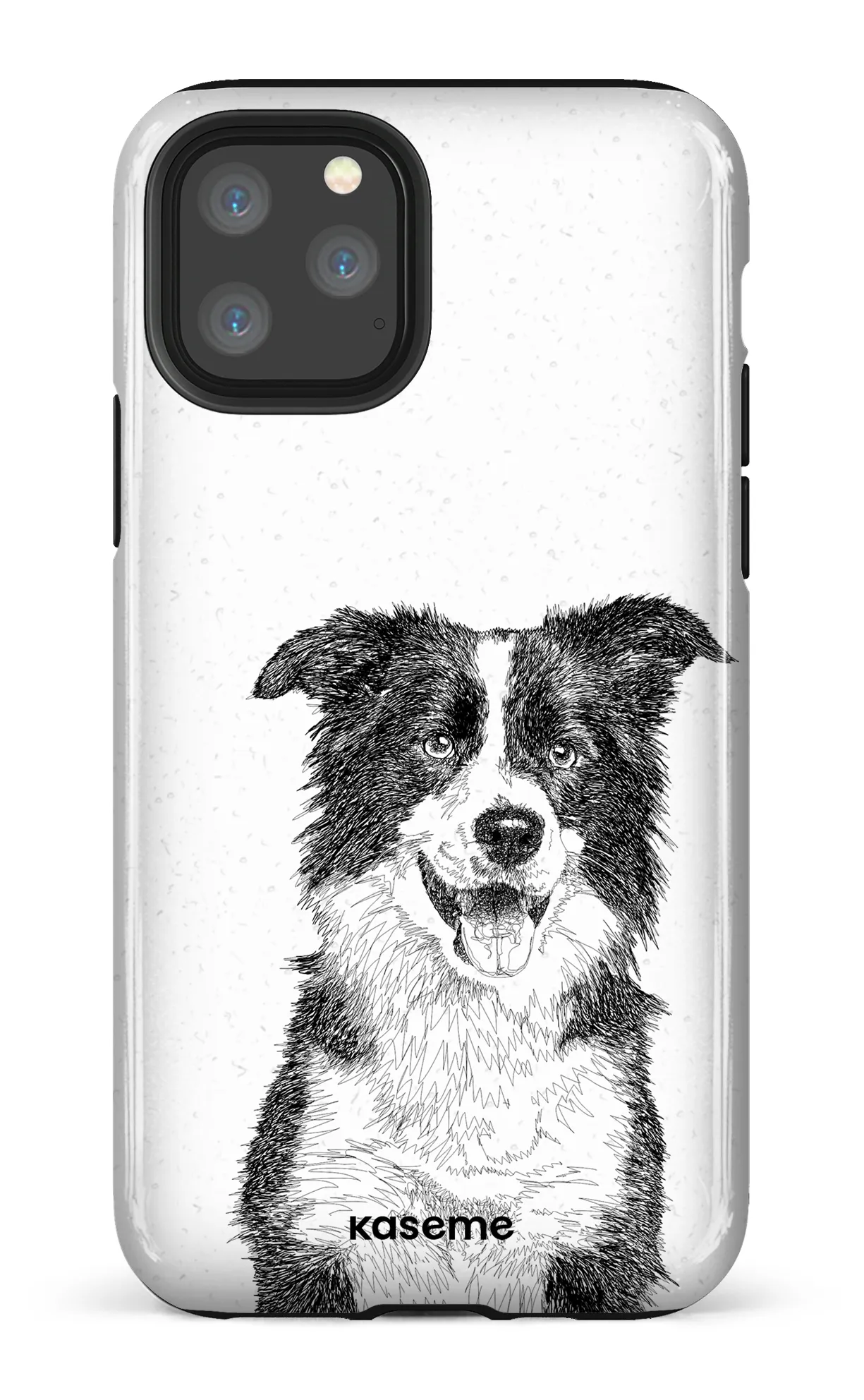 Border Collie