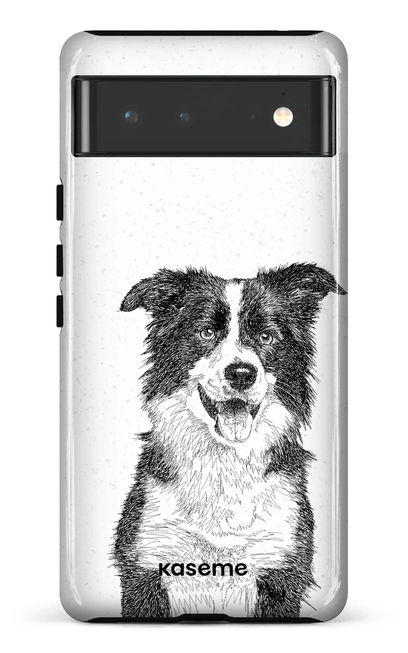 Border Collie