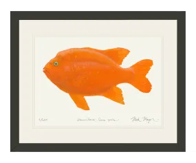 Bull Garibaldi III Print