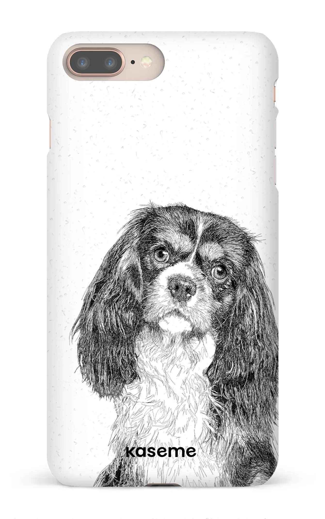 Cavalier King Charles Spaniel