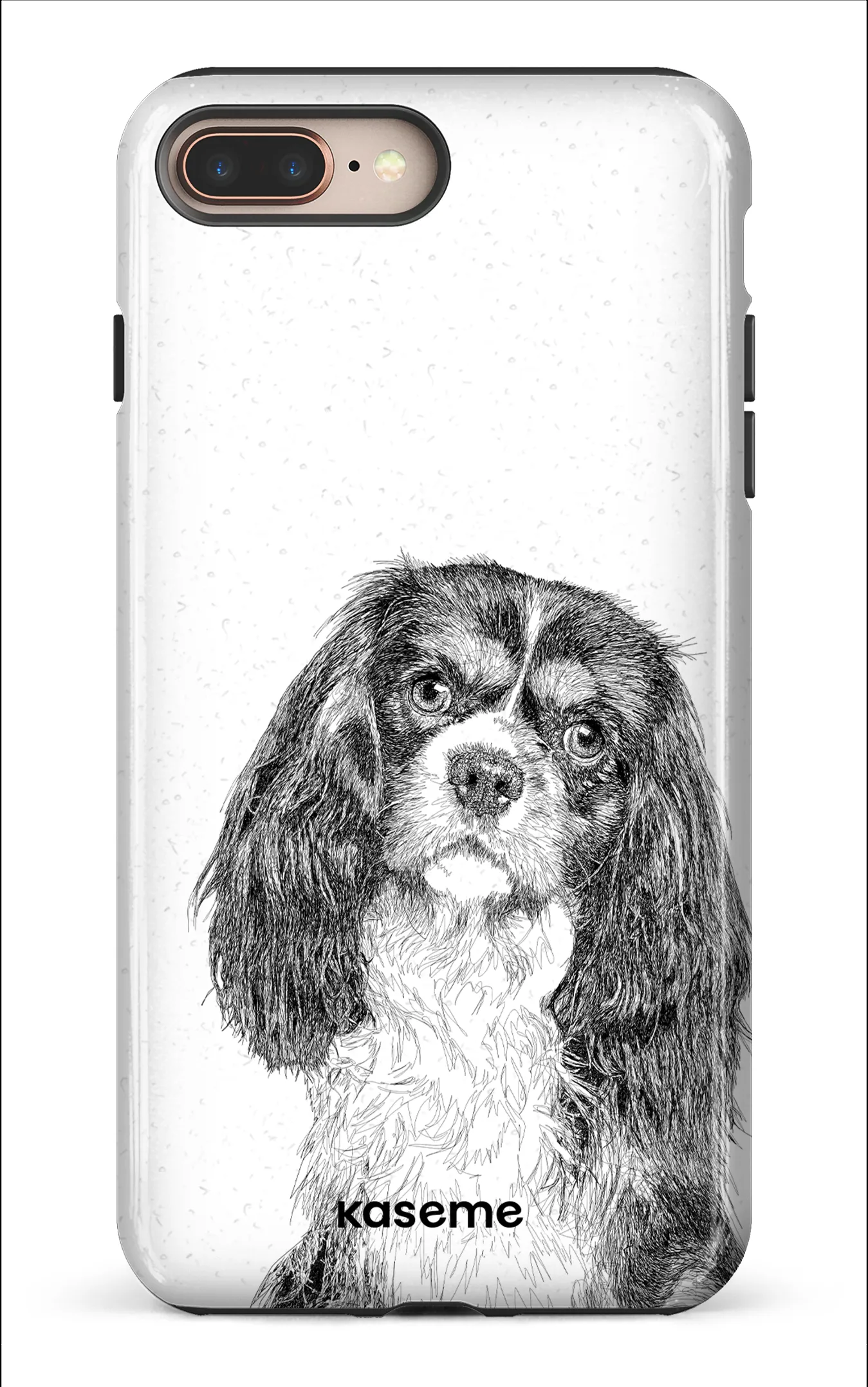 Cavalier King Charles Spaniel