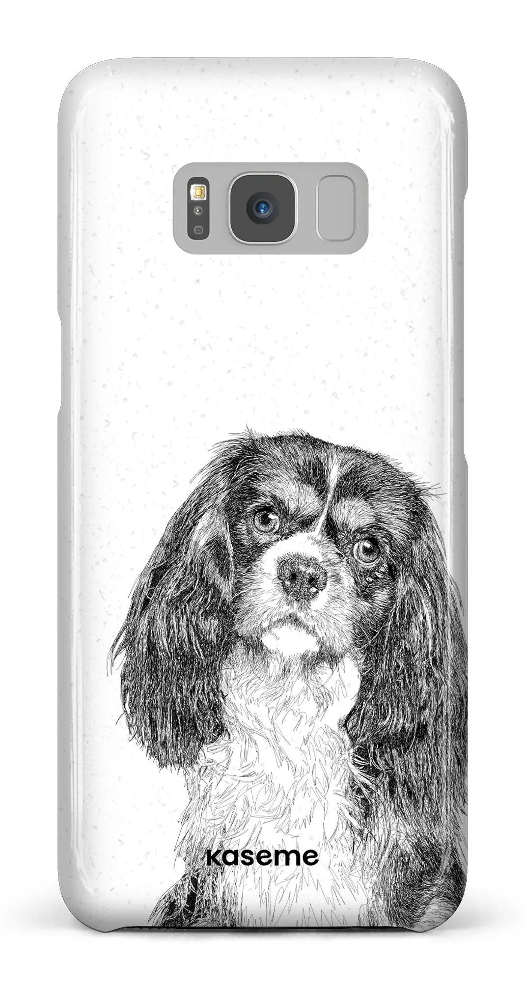 Cavalier King Charles Spaniel