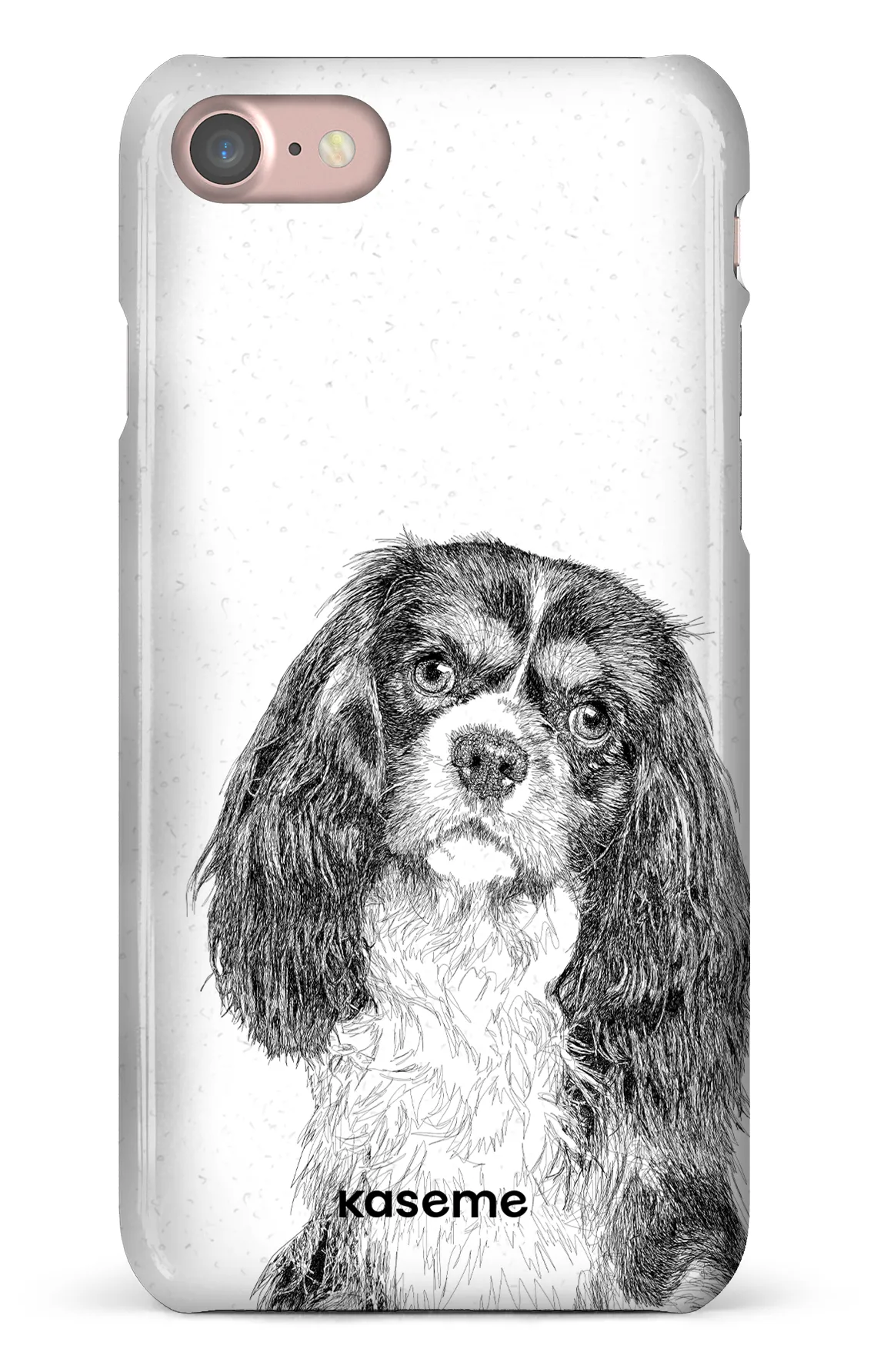 Cavalier King Charles Spaniel