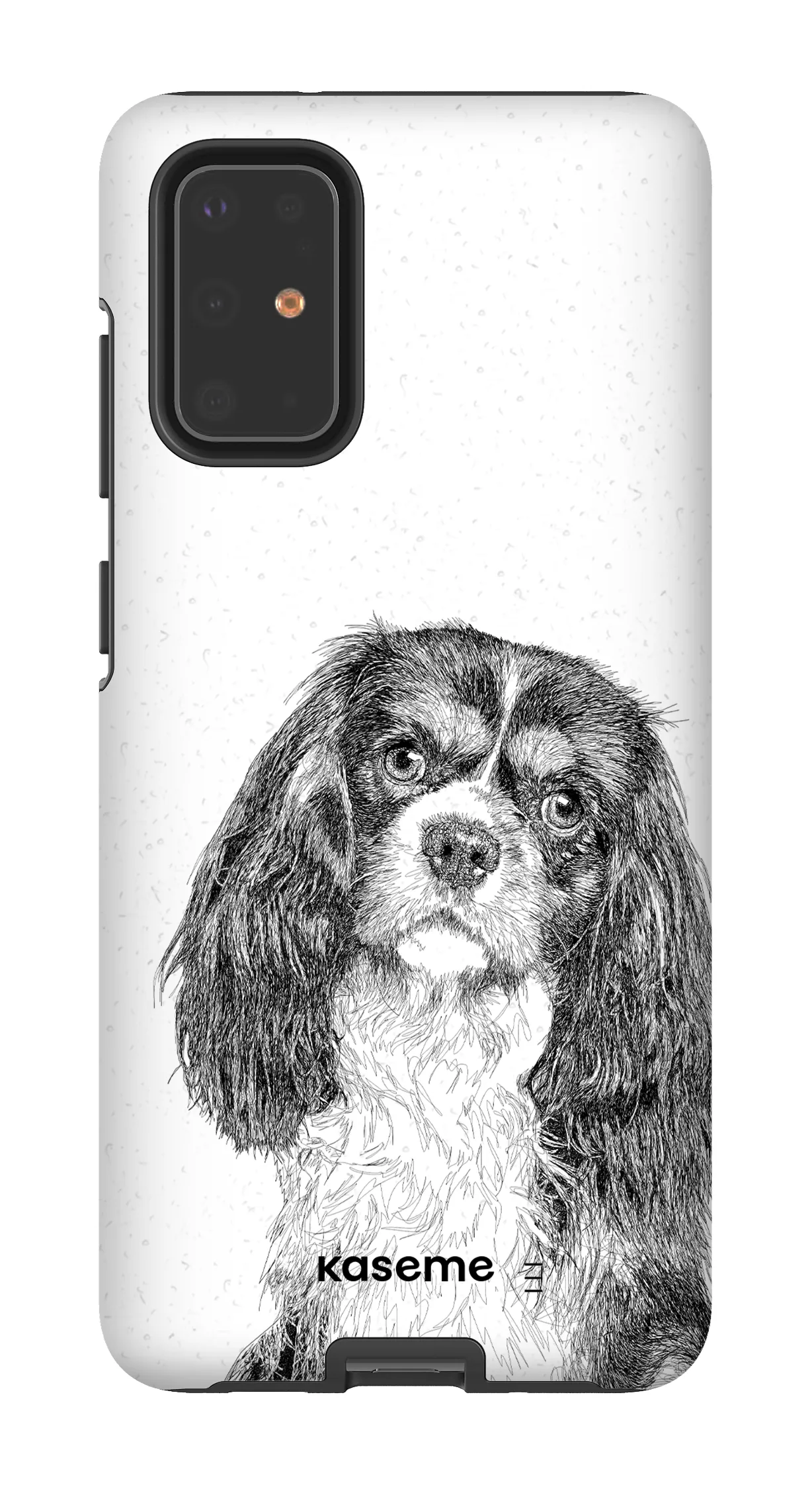 Cavalier King Charles Spaniel