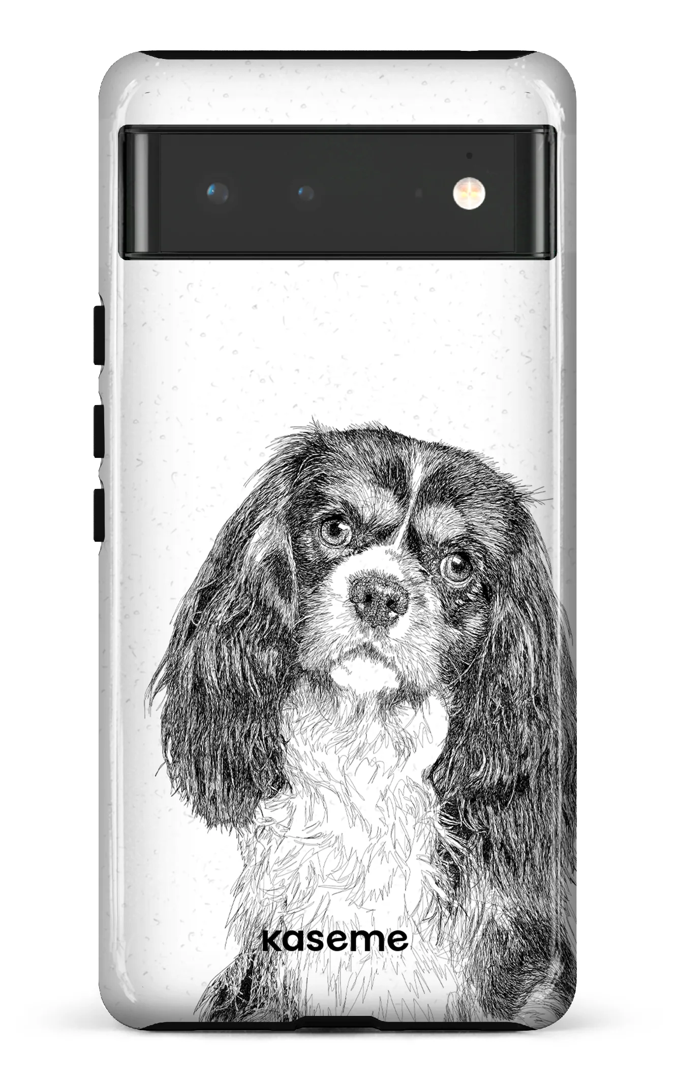 Cavalier King Charles Spaniel