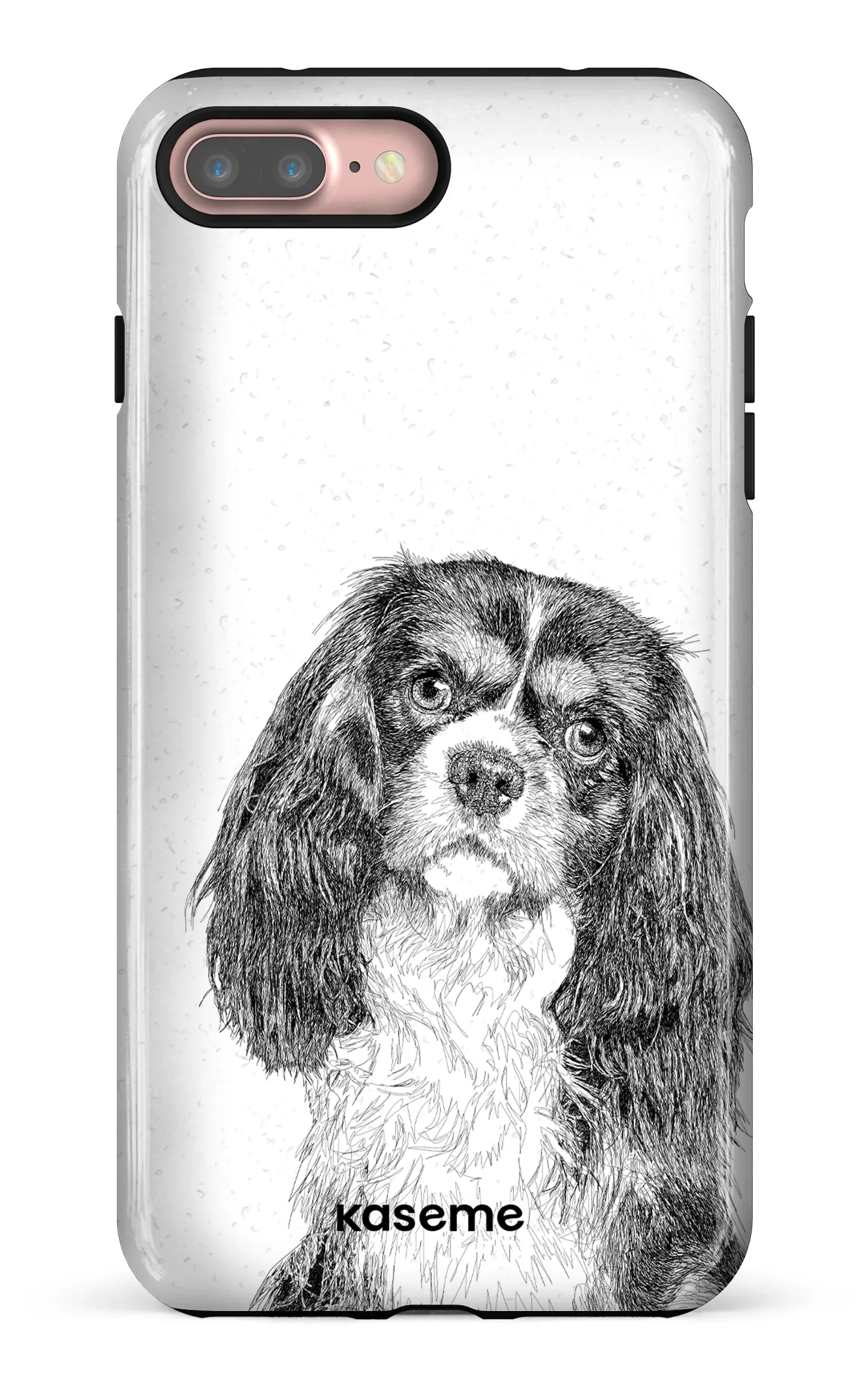 Cavalier King Charles Spaniel