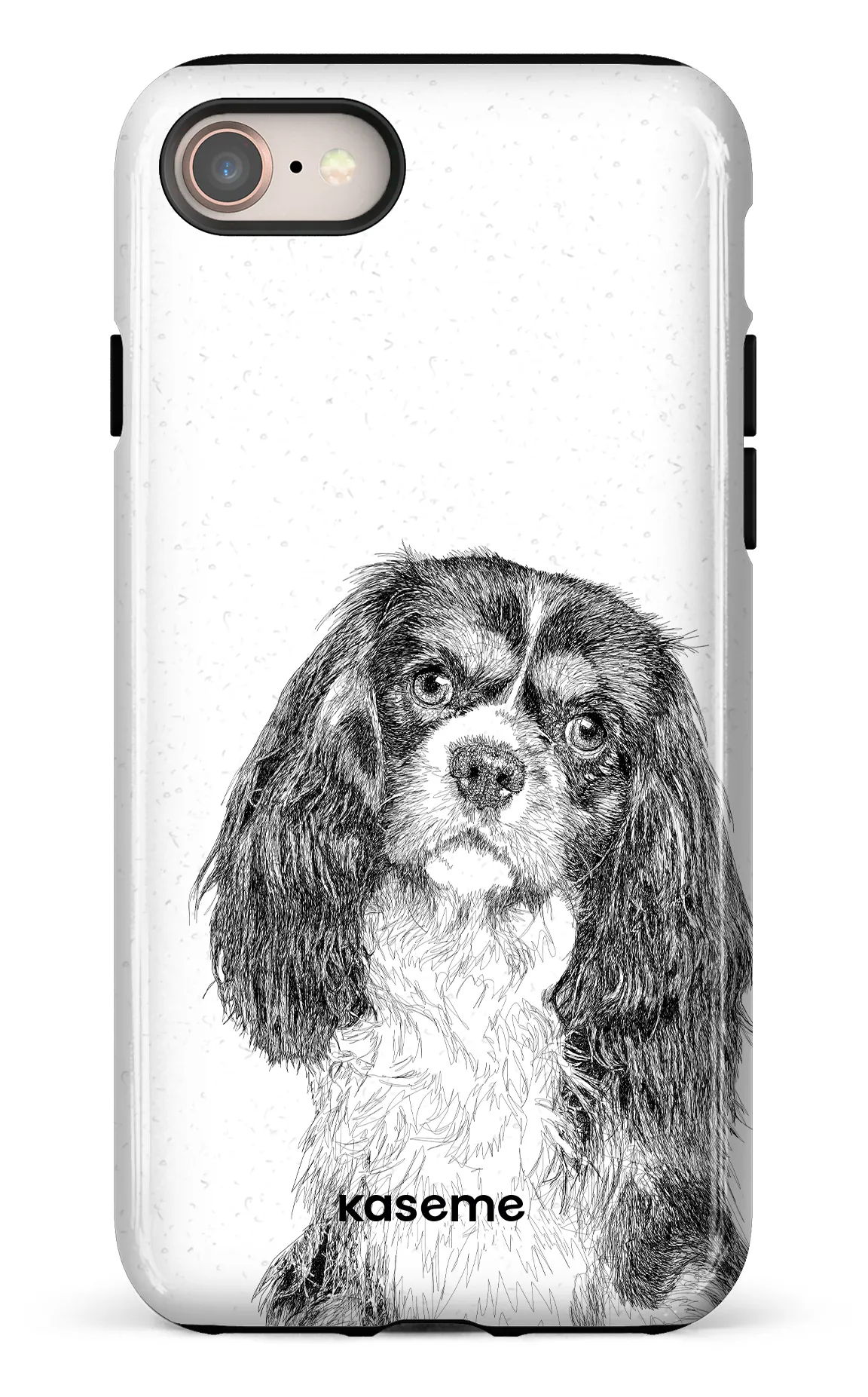 Cavalier King Charles Spaniel