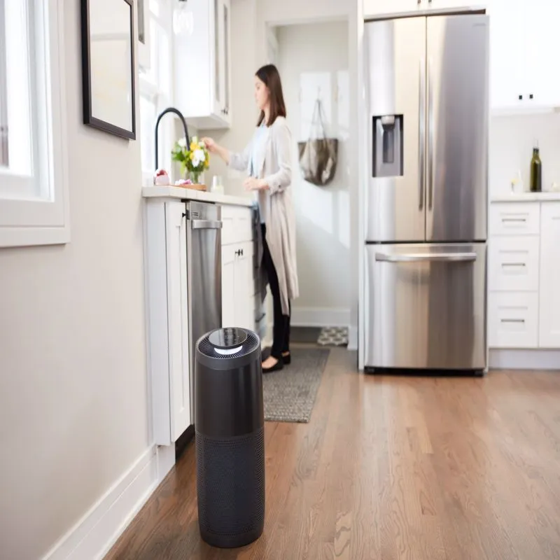 Instant HEPA Air Purifier 388 sq ft